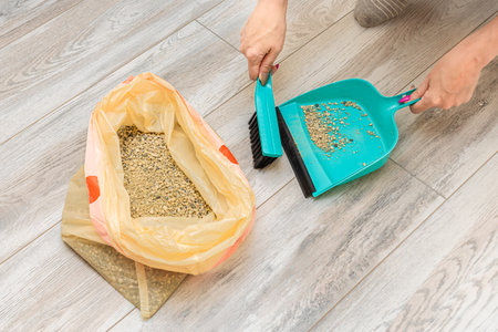 woman sweeping dry cat litter from the floor. woman changing cat litter. cat litter cleaning. high quality photoの写真素材