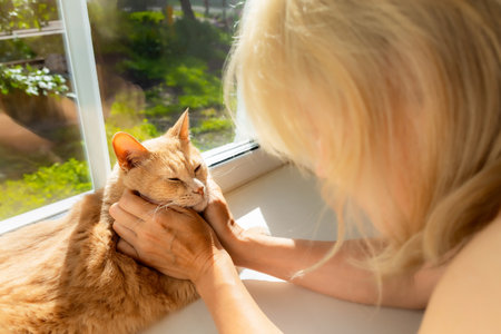 Ryazan, Russia - July 21, 2023: woman petting a beautiful cat lying on the windowsill. favorite cat High quality photoのeditorial素材
