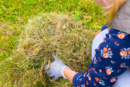 a farmer picks up a haystack, close-up. hay for animals. making hay on the farm.の写真素材