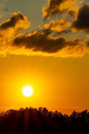the orange sun sets behind the trees. evening sky.の写真素材