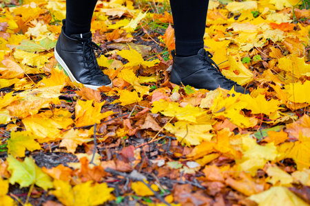 woman walking through autumn leaves in the park. foot steps on yellow leaves. walk in the autumn parkの写真素材