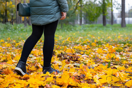woman walking through autumn leaves in the park. foot steps on yellow leaves. walk in the autumn park. High quality photoの写真素材