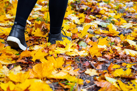 woman walking through autumn leaves in the park. foot steps on yellow leaves. walk in the autumn park. High quality photoの写真素材
