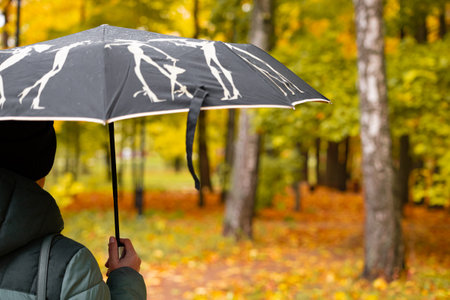 a woman with an umbrella in her hand walks through the autumn park. walk in the autumn park. High quality photoの写真素材