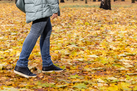 woman walking on yellow leaves in autumn park. foot steps on autumn leaves. walk in the autumn park. High quality photoの写真素材