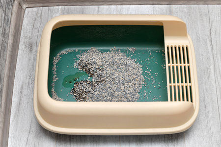 cat peed in the cat litter box. wet cat litter. puddle of urine in the cat litterの写真素材