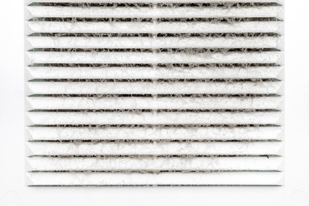 plastic ventilation grille filled with dirt, close-up. dirty ventilation grill High quality photo