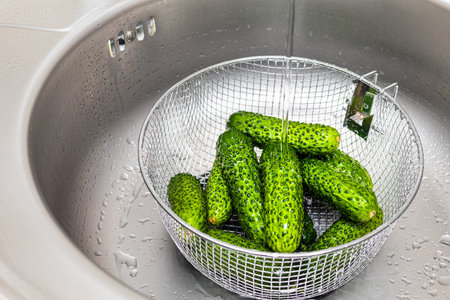 fresh cucumbers in the kitchen sink, close-up. housewife washes cucumbers in the kitchen. cucumbers in a colanderの写真素材