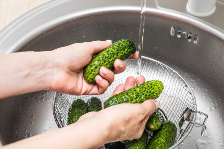 housewife washes fresh cucumbers in the kitchen sink. cucumber harvest. cucumber saladの写真素材