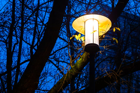 street lamp in autumn park, close-up. autumn atmosphere. autumn background.