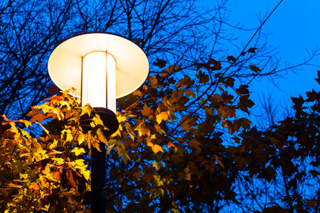 street lamp in autumn park, close-up. autumn leaves in the light of a street lamp. autumn atmosphere. . High quality photoの写真素材