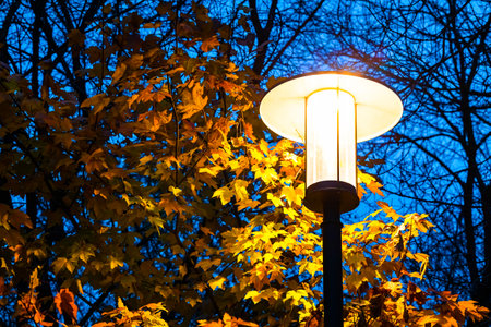 street lamp in autumn park, close-up. vintage street lamp against autumn tree background. autumn atmosphere.の写真素材