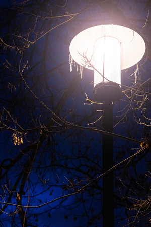 street lamp glowing brightly in the dark. vessels on a street lamp. street lamp in winter park....