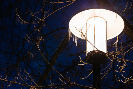 street lamp glowing brightly in the dark. vessels on a street lamp. street lamp in winter park.の写真素材