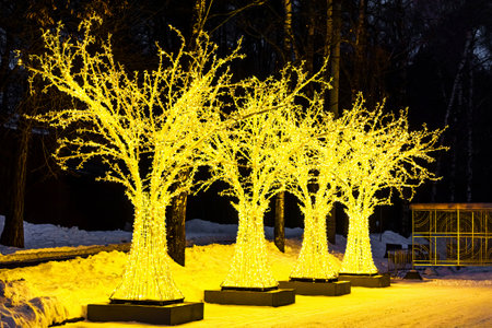 decorative glowing trees in winter park. Christmas decoration of the park. tree figure made from...