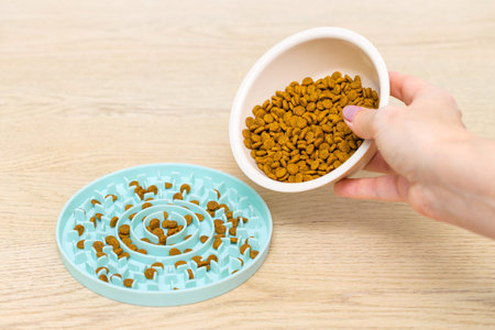 a person pours cat food into a slow feeding bowl. overeating in catsの写真素材