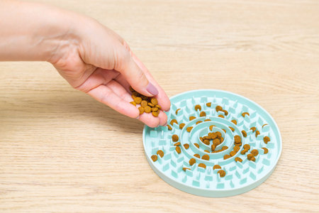 a breeder pours cat food into a slow feeding bowl. slow feed bowl overeating in cats. cat feeder feed dosingの写真素材