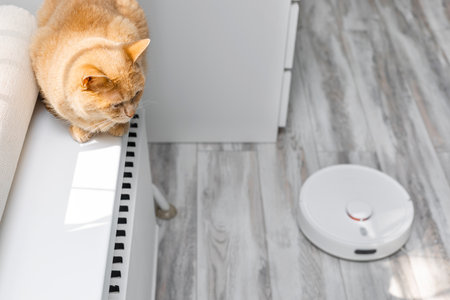 cat hiding from working robot vacuum cleaner. cleaning cat hair at home. cat looks at working robot vacuum cleaner.の写真素材