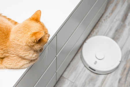 cat hiding from working robot vacuum cleaner. cleaning cat hair at home. The cat hides from the vacuum cleaner by jumping on the table.の写真素材