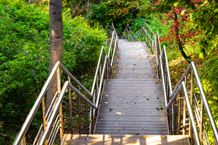 a long staircase in the park, without people. a staircase among thickets of plants in a park