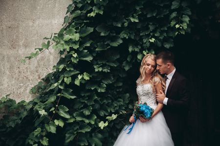 Happy wedding couple hugging and smiling each other on the background gorgeous plants in castle.の写真素材