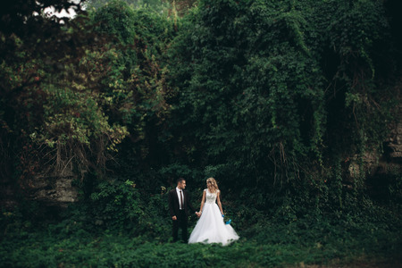 Luxury wedding couple hugging and kissing on the background gorgeous plants and cave near ancient castle.の写真素材
