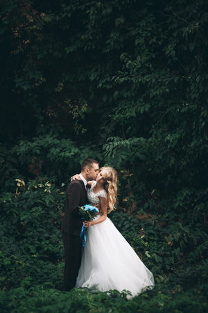 Luxury wedding couple hugging and kissing on the background gorgeous plants and cave near ancient castle.の写真素材