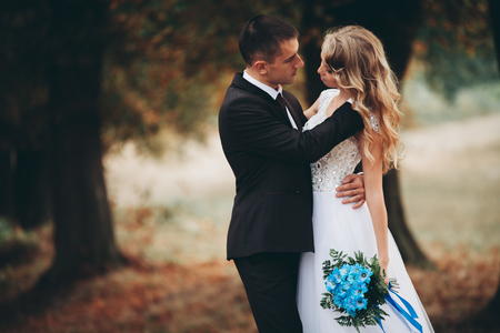 Amazing happy gentle stylish beautiful romantic caucasian couple walking autumn park.の写真素材