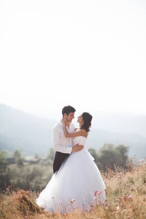 Romantic fairytale couple of newlyweds posing at sunset on a background of mountains.の写真素材