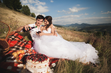 Beautiful wedding couple at picnic with fruit and cake on a background of mountains.の写真素材
