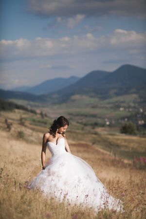 Gorgeous bride in elegant dress posing in the sunny summer day on a background of mountains.の写真素材
