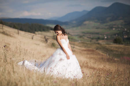 Gorgeous bride in elegant dress posing in the sunny summer day on a background of mountains.の写真素材