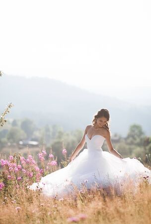 Gorgeous bride in elegant dress posing in the sunny summer day on a background of mountains.の写真素材