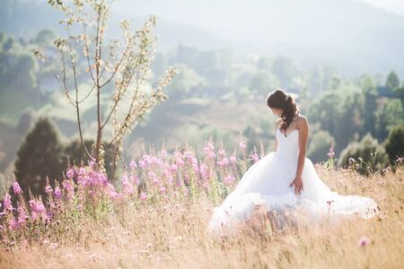 Gorgeous bride in elegant dress posing in the sunny summer day on a background of mountains.の写真素材