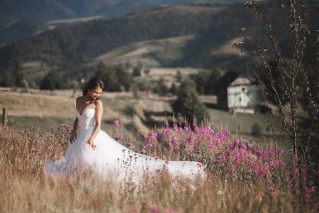 Gorgeous bride in elegant dress posing in the sunny summer day on a background of mountains.の写真素材