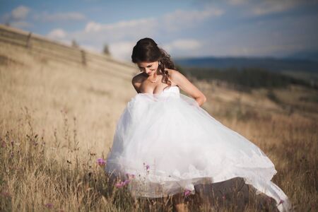 Gorgeous bride in elegant dress posing in the sunny summer day on a background of mountains.の写真素材