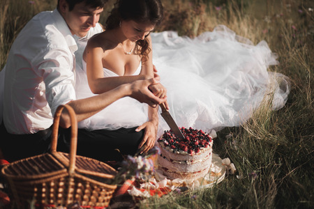 Beautiful wedding couple at picnic with fruit and cake on a background of mountains.の写真素材