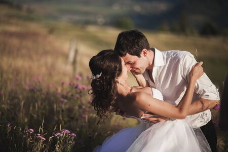 Romantic fairytale couple newlyweds kissing and embracing on a background of mountains.の写真素材
