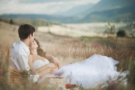 Beautiful wedding couple at picnic with fruit and cake on a background of mountains.の写真素材