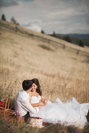Beautiful wedding couple at picnic with fruit and cake on a background of mountains.の写真素材