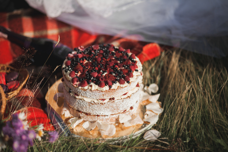 Beautiful wedding couple at picnic with fruit and cake on a background of mountains.の写真素材
