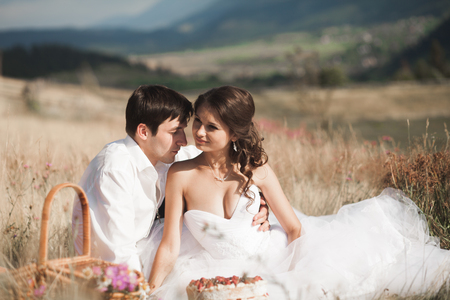 Beautiful wedding couple at picnic with fruit and cake on a background of mountains.の写真素材