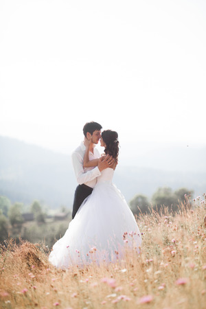 Romantic fairytale couple of newlyweds posing at sunset on a background of mountains.の写真素材