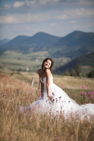 Gorgeous bride in elegant dress posing in the sunny summer day on a background of mountains.の写真素材