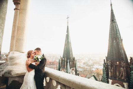 Stylish beautiful wedding couple hugging on background panoramic view of the old town.の写真素材