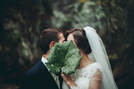 Beautiful wedding couple kissing on stone of the river in scenic mountains.の写真素材