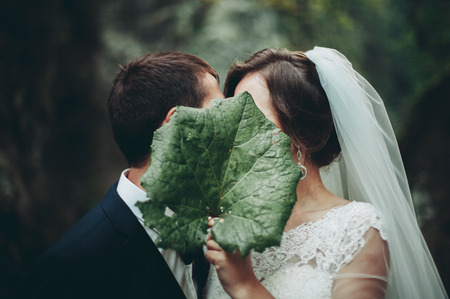 Beautiful wedding couple kissing on stone of the river in scenic mountains.の写真素材