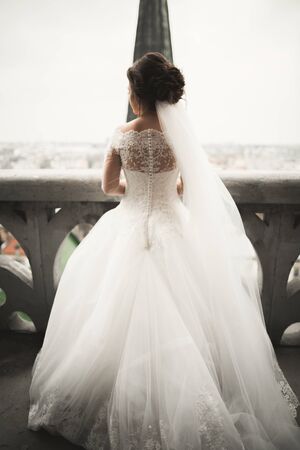 Beautiful bride on her wedding day with a view of the city.の写真素材
