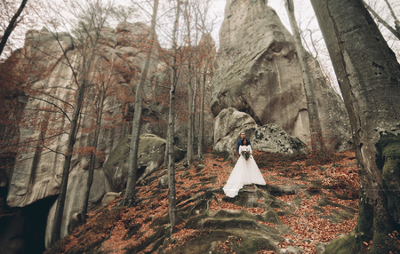 Gorgeous bride and groom kissing and hugging near the cliffs with stunning views.の写真素材