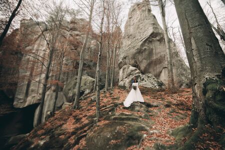 Gorgeous bride and groom kissing and hugging near the cliffs with stunning views.の写真素材